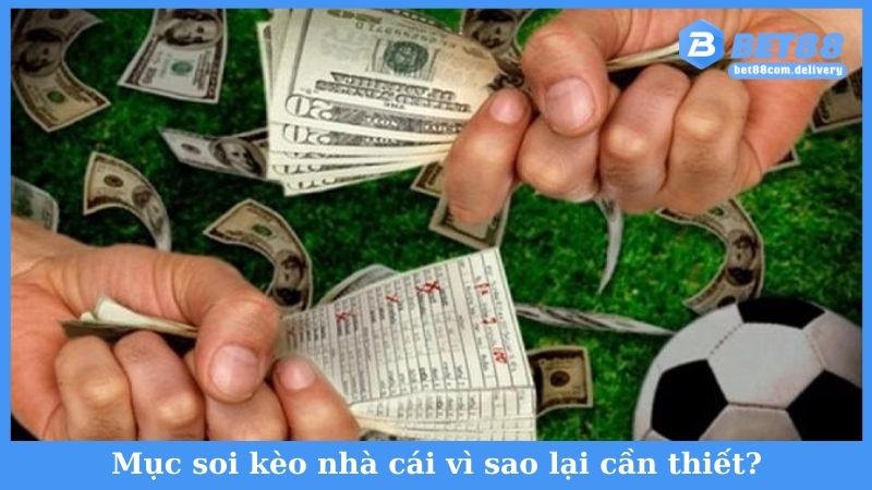 Mục soi kèo nhà cái vì sao lại cần thiết?